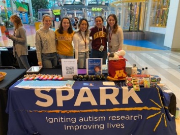 SPARK at AuSM's Puzzle Event in November 2020